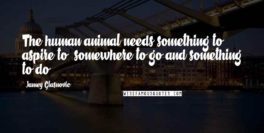 Jamey Glasnovic Quotes: The human animal needs something to aspire to, somewhere to go and something to do.