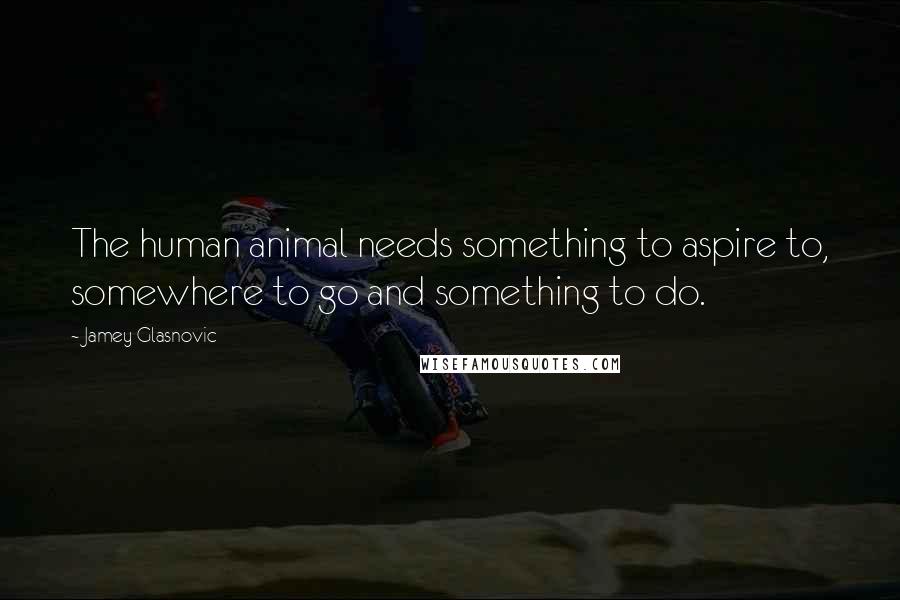 Jamey Glasnovic Quotes: The human animal needs something to aspire to, somewhere to go and something to do.