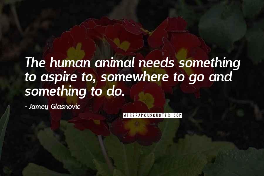 Jamey Glasnovic Quotes: The human animal needs something to aspire to, somewhere to go and something to do.