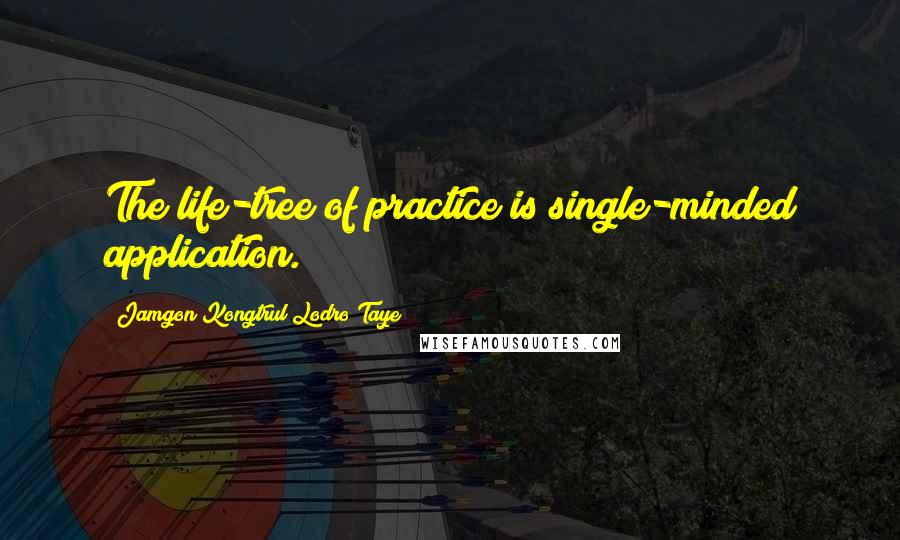 Jamgon Kongtrul Lodro Taye Quotes: The life-tree of practice is single-minded application.