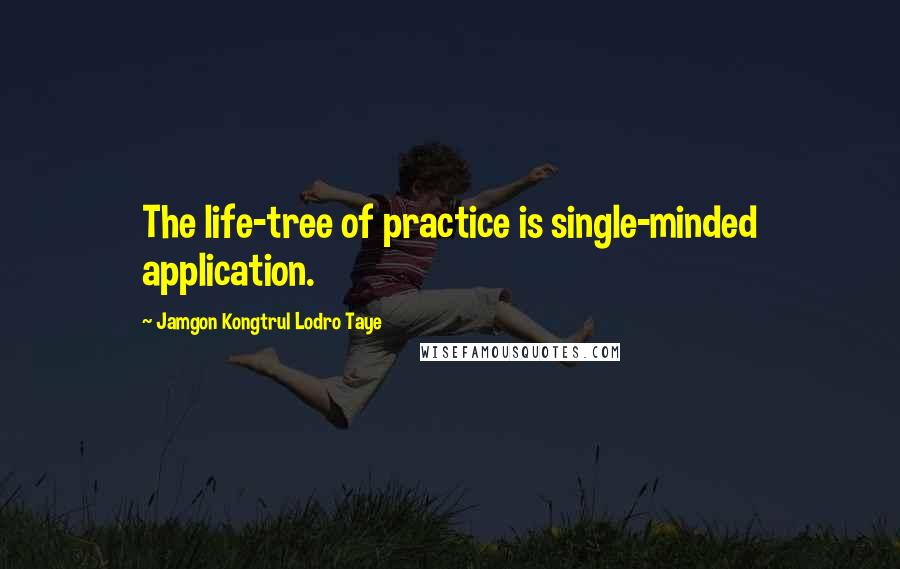 Jamgon Kongtrul Lodro Taye Quotes: The life-tree of practice is single-minded application.