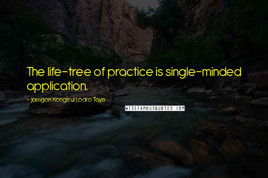 Jamgon Kongtrul Lodro Taye Quotes: The life-tree of practice is single-minded application.