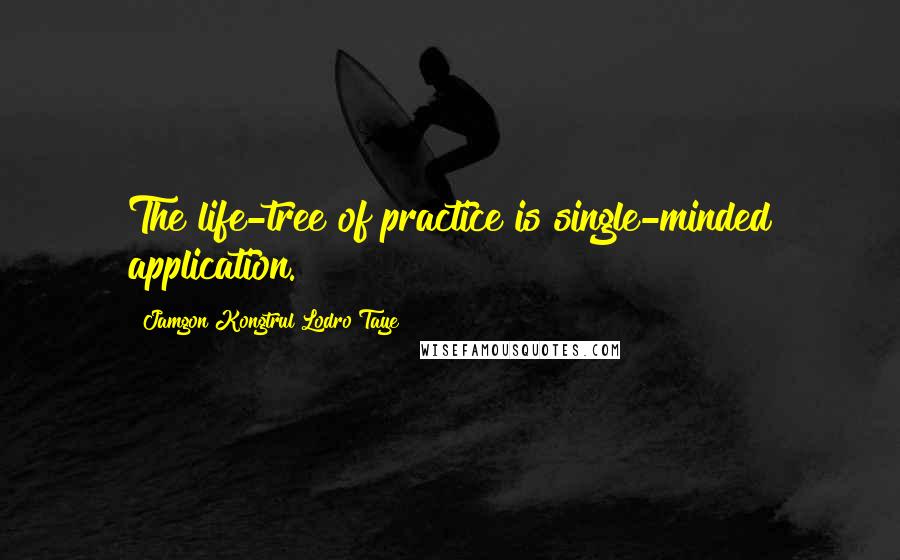 Jamgon Kongtrul Lodro Taye Quotes: The life-tree of practice is single-minded application.