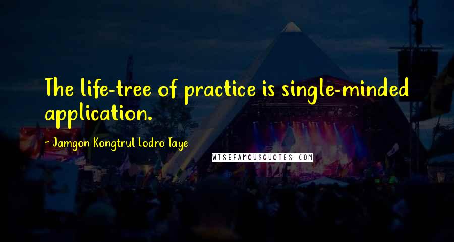 Jamgon Kongtrul Lodro Taye Quotes: The life-tree of practice is single-minded application.