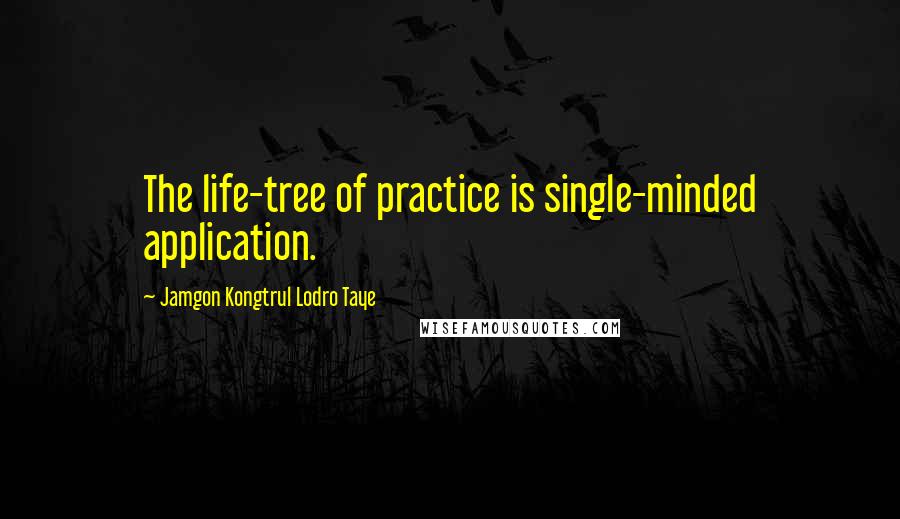 Jamgon Kongtrul Lodro Taye Quotes: The life-tree of practice is single-minded application.