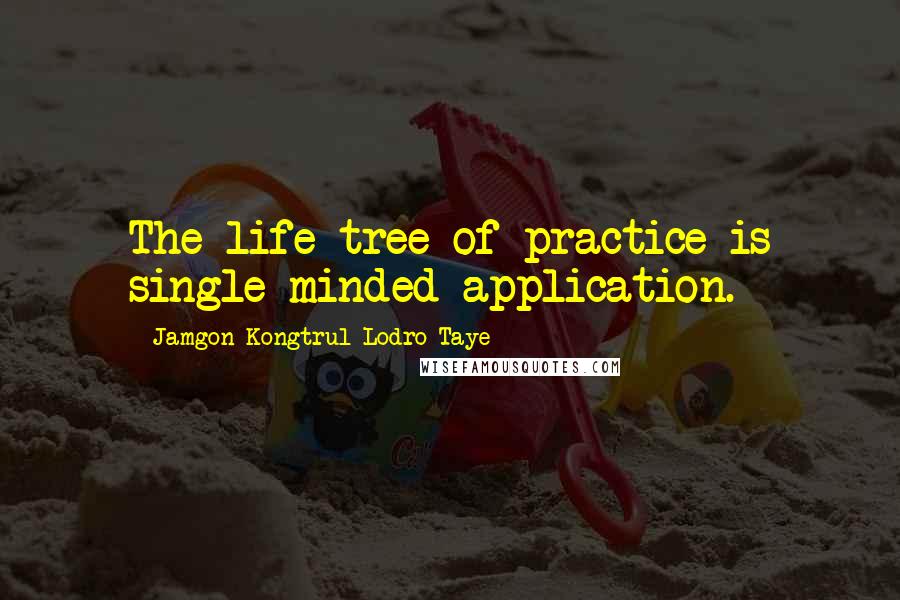 Jamgon Kongtrul Lodro Taye Quotes: The life-tree of practice is single-minded application.