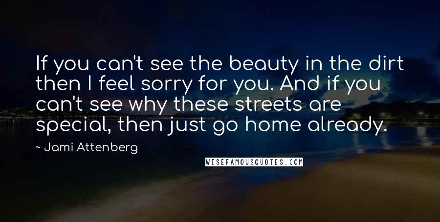 Jami Attenberg Quotes: If you can't see the beauty in the dirt then I feel sorry for you. And if you can't see why these streets are special, then just go home already.