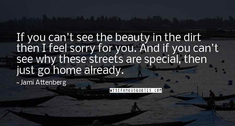 Jami Attenberg Quotes: If you can't see the beauty in the dirt then I feel sorry for you. And if you can't see why these streets are special, then just go home already.