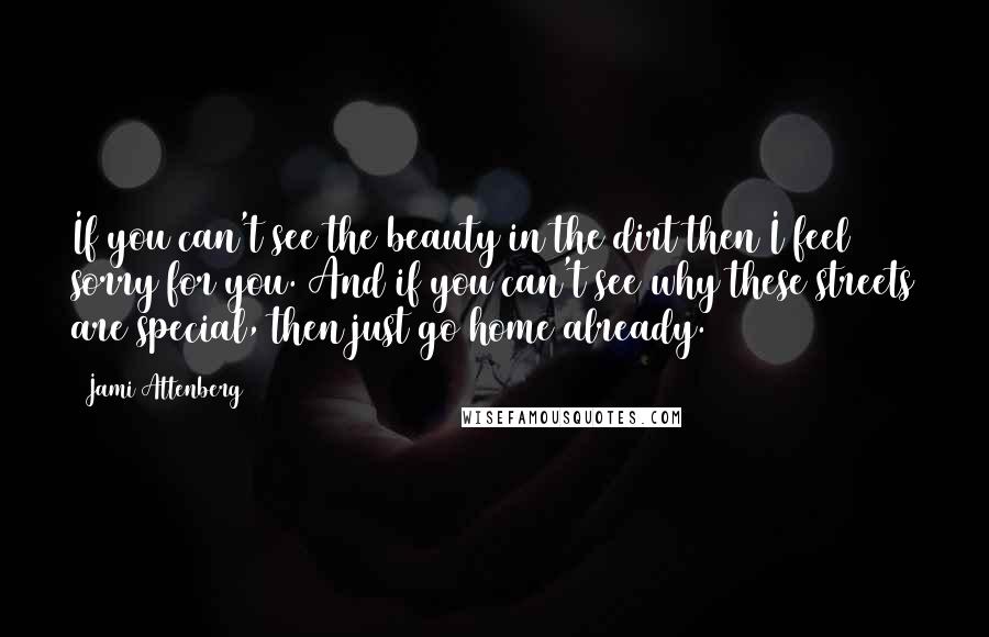 Jami Attenberg Quotes: If you can't see the beauty in the dirt then I feel sorry for you. And if you can't see why these streets are special, then just go home already.