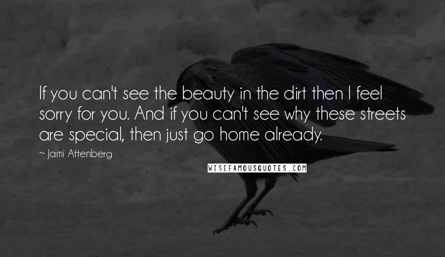 Jami Attenberg Quotes: If you can't see the beauty in the dirt then I feel sorry for you. And if you can't see why these streets are special, then just go home already.