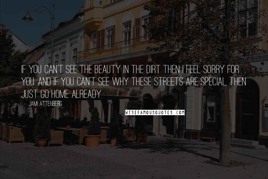 Jami Attenberg Quotes: If you can't see the beauty in the dirt then I feel sorry for you. And if you can't see why these streets are special, then just go home already.