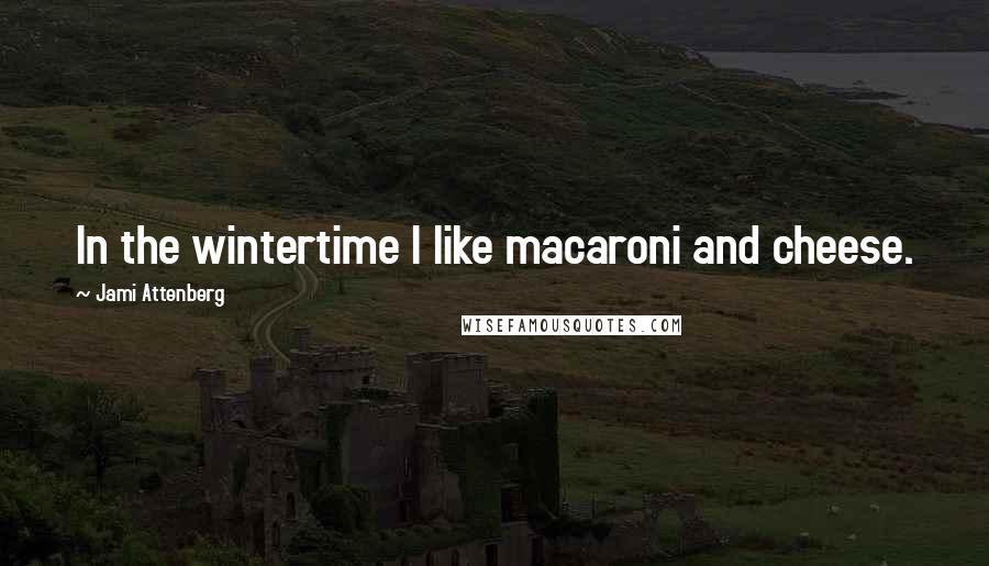 Jami Attenberg Quotes: In the wintertime I like macaroni and cheese.