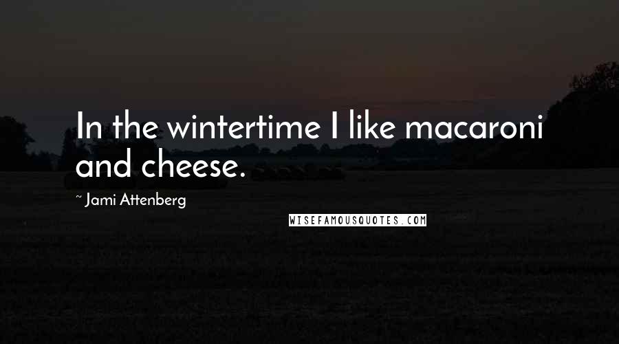 Jami Attenberg Quotes: In the wintertime I like macaroni and cheese.