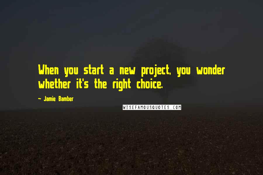 Jamie Bamber Quotes: When you start a new project, you wonder whether it's the right choice.