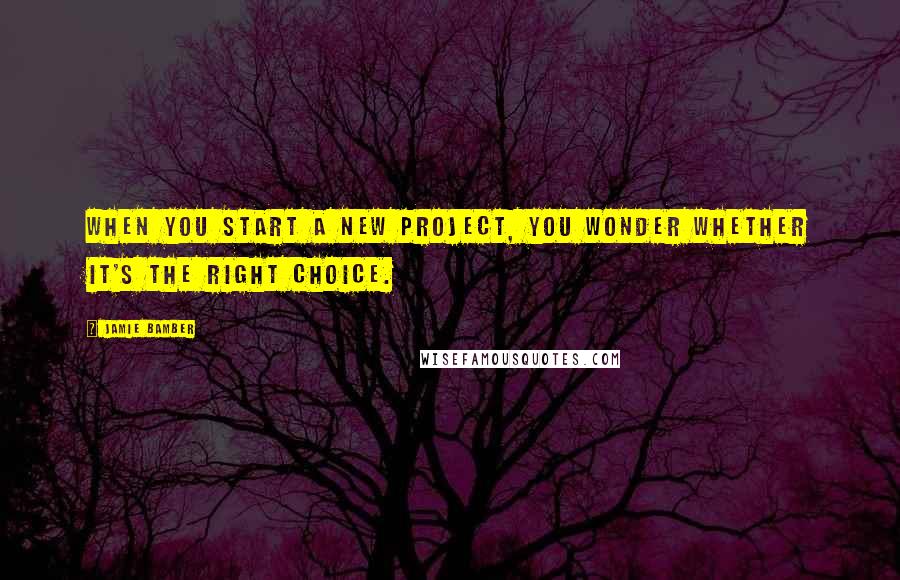 Jamie Bamber Quotes: When you start a new project, you wonder whether it's the right choice.