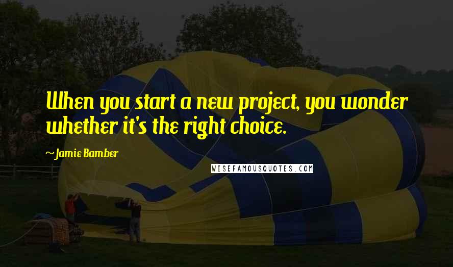 Jamie Bamber Quotes: When you start a new project, you wonder whether it's the right choice.