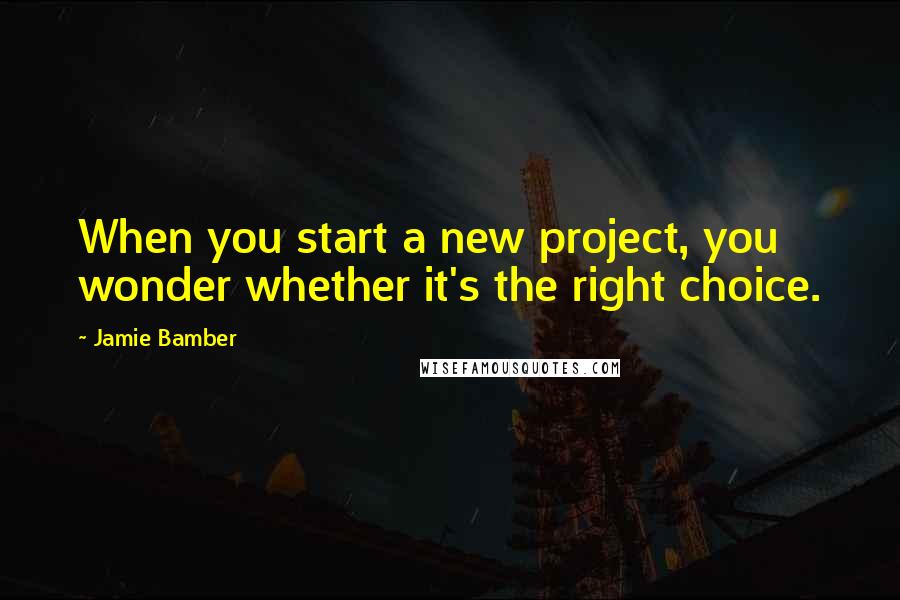 Jamie Bamber Quotes: When you start a new project, you wonder whether it's the right choice.