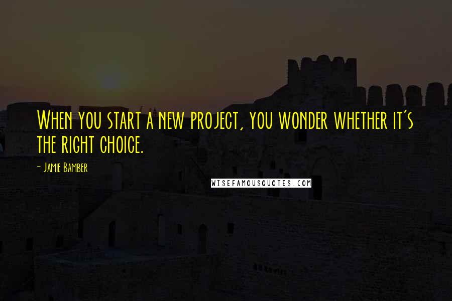 Jamie Bamber Quotes: When you start a new project, you wonder whether it's the right choice.