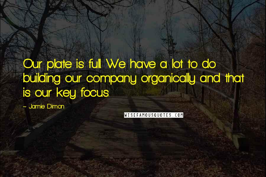 Jamie Dimon Quotes: Our plate is full. We have a lot to do building our company organically and that is our key focus.