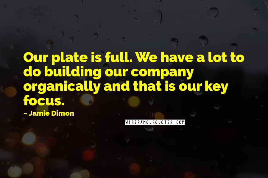 Jamie Dimon Quotes: Our plate is full. We have a lot to do building our company organically and that is our key focus.
