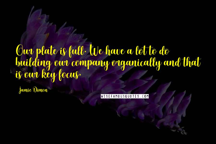 Jamie Dimon Quotes: Our plate is full. We have a lot to do building our company organically and that is our key focus.