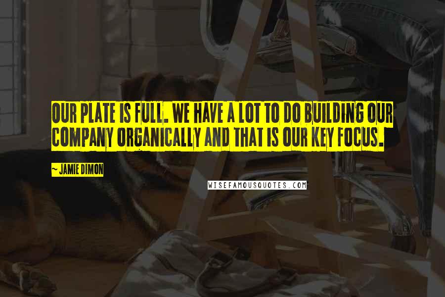 Jamie Dimon Quotes: Our plate is full. We have a lot to do building our company organically and that is our key focus.