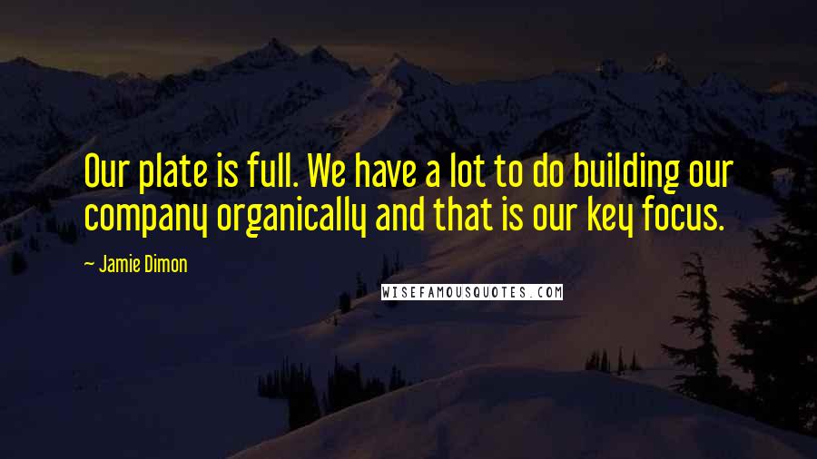Jamie Dimon Quotes: Our plate is full. We have a lot to do building our company organically and that is our key focus.