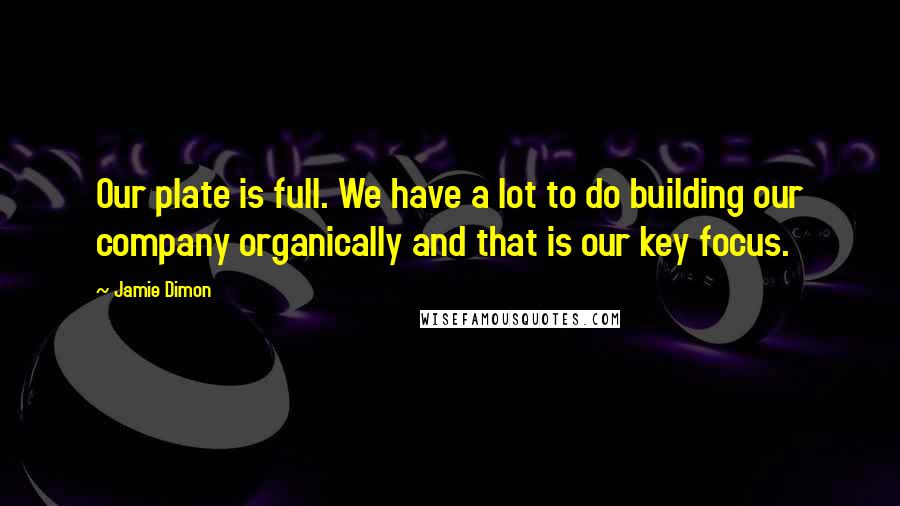 Jamie Dimon Quotes: Our plate is full. We have a lot to do building our company organically and that is our key focus.