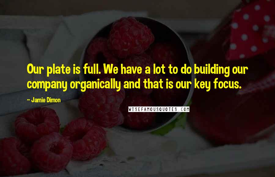 Jamie Dimon Quotes: Our plate is full. We have a lot to do building our company organically and that is our key focus.