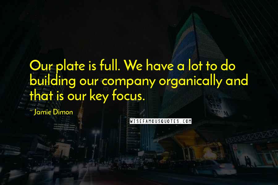 Jamie Dimon Quotes: Our plate is full. We have a lot to do building our company organically and that is our key focus.
