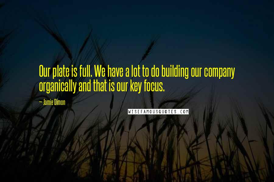 Jamie Dimon Quotes: Our plate is full. We have a lot to do building our company organically and that is our key focus.
