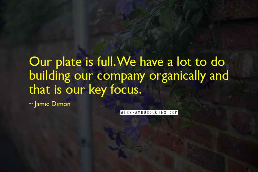 Jamie Dimon Quotes: Our plate is full. We have a lot to do building our company organically and that is our key focus.