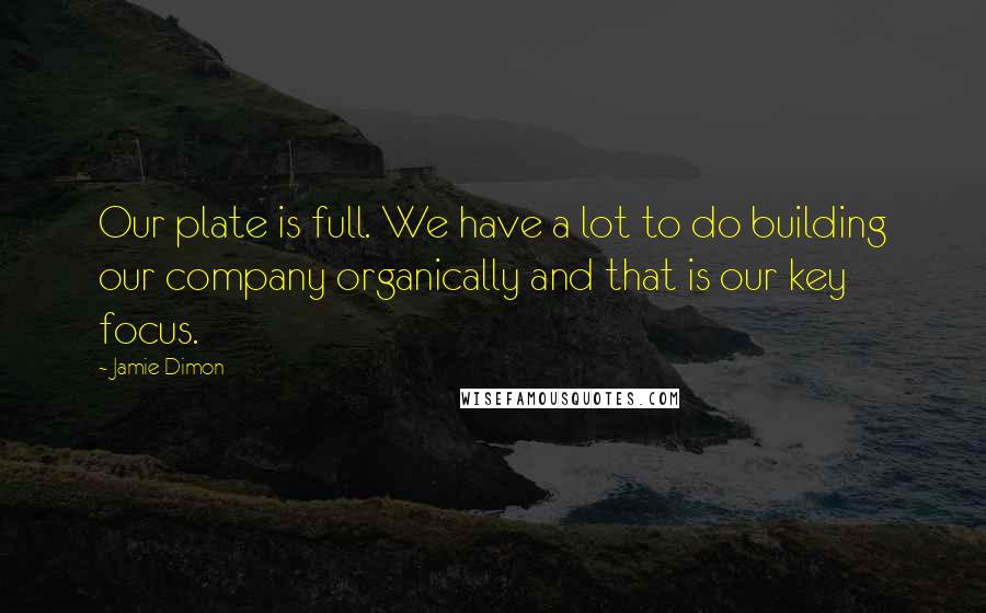 Jamie Dimon Quotes: Our plate is full. We have a lot to do building our company organically and that is our key focus.