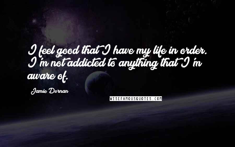 Jamie Dornan Quotes: I feel good that I have my life in order. I'm not addicted to anything that I'm aware of.