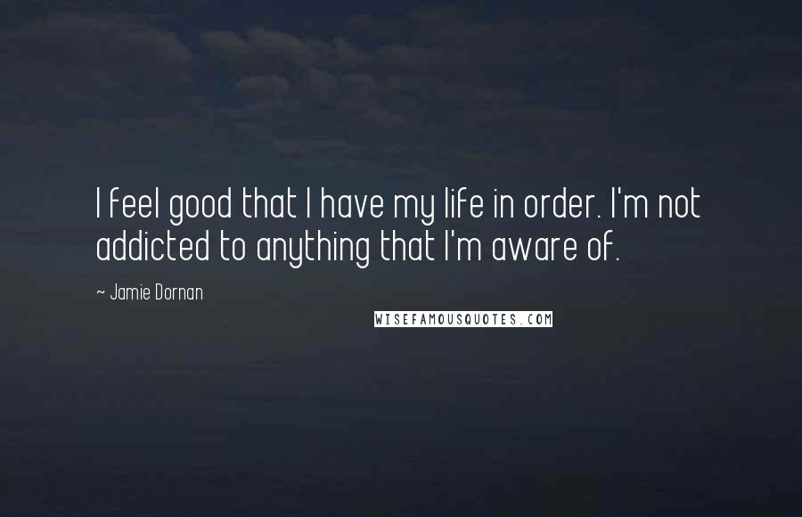 Jamie Dornan Quotes: I feel good that I have my life in order. I'm not addicted to anything that I'm aware of.