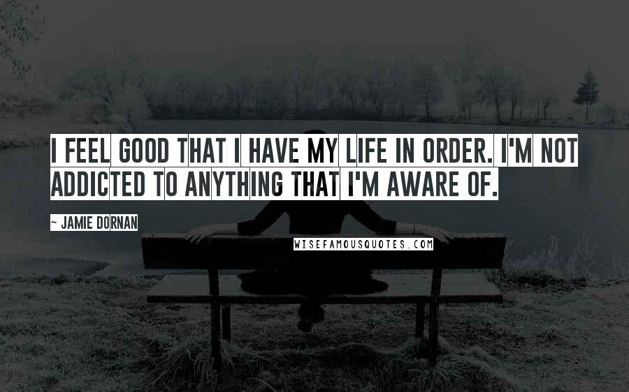 Jamie Dornan Quotes: I feel good that I have my life in order. I'm not addicted to anything that I'm aware of.