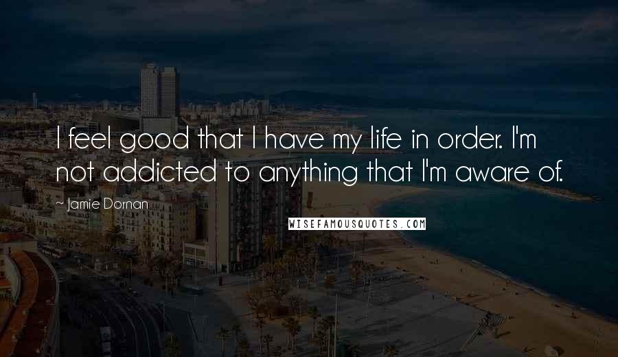 Jamie Dornan Quotes: I feel good that I have my life in order. I'm not addicted to anything that I'm aware of.