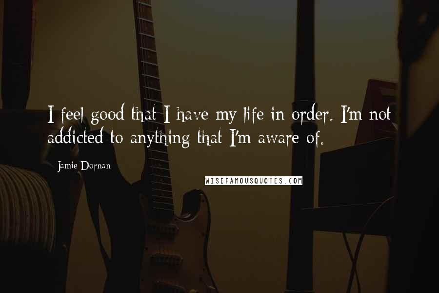 Jamie Dornan Quotes: I feel good that I have my life in order. I'm not addicted to anything that I'm aware of.