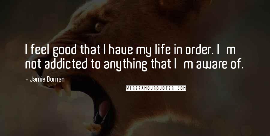 Jamie Dornan Quotes: I feel good that I have my life in order. I'm not addicted to anything that I'm aware of.