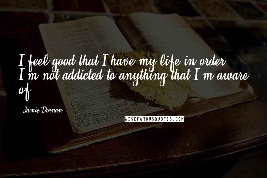 Jamie Dornan Quotes: I feel good that I have my life in order. I'm not addicted to anything that I'm aware of.