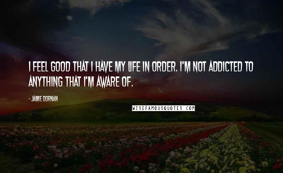 Jamie Dornan Quotes: I feel good that I have my life in order. I'm not addicted to anything that I'm aware of.