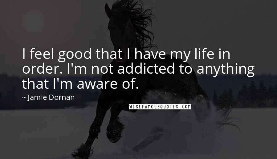 Jamie Dornan Quotes: I feel good that I have my life in order. I'm not addicted to anything that I'm aware of.