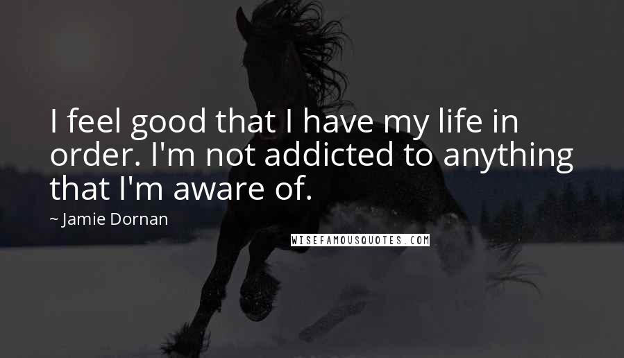 Jamie Dornan Quotes: I feel good that I have my life in order. I'm not addicted to anything that I'm aware of.