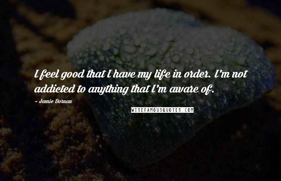 Jamie Dornan Quotes: I feel good that I have my life in order. I'm not addicted to anything that I'm aware of.