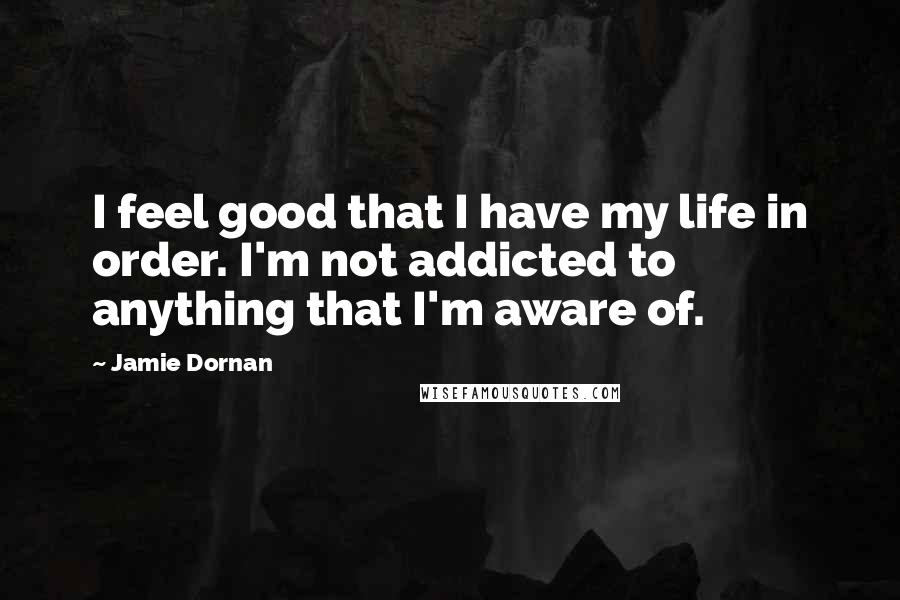 Jamie Dornan Quotes: I feel good that I have my life in order. I'm not addicted to anything that I'm aware of.