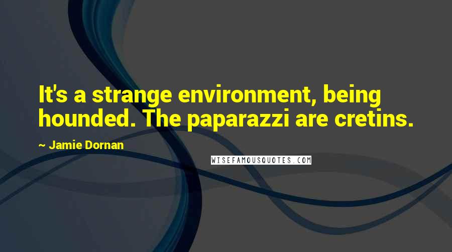 Jamie Dornan Quotes: It's a strange environment, being hounded. The paparazzi are cretins.