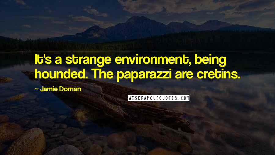 Jamie Dornan Quotes: It's a strange environment, being hounded. The paparazzi are cretins.