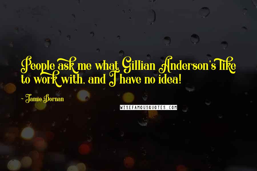 Jamie Dornan Quotes: People ask me what Gillian Anderson's like to work with, and I have no idea!