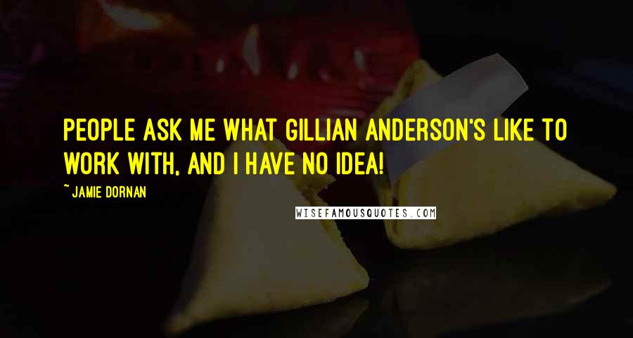 Jamie Dornan Quotes: People ask me what Gillian Anderson's like to work with, and I have no idea!