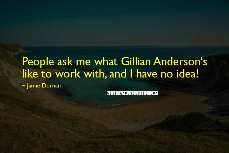 Jamie Dornan Quotes: People ask me what Gillian Anderson's like to work with, and I have no idea!